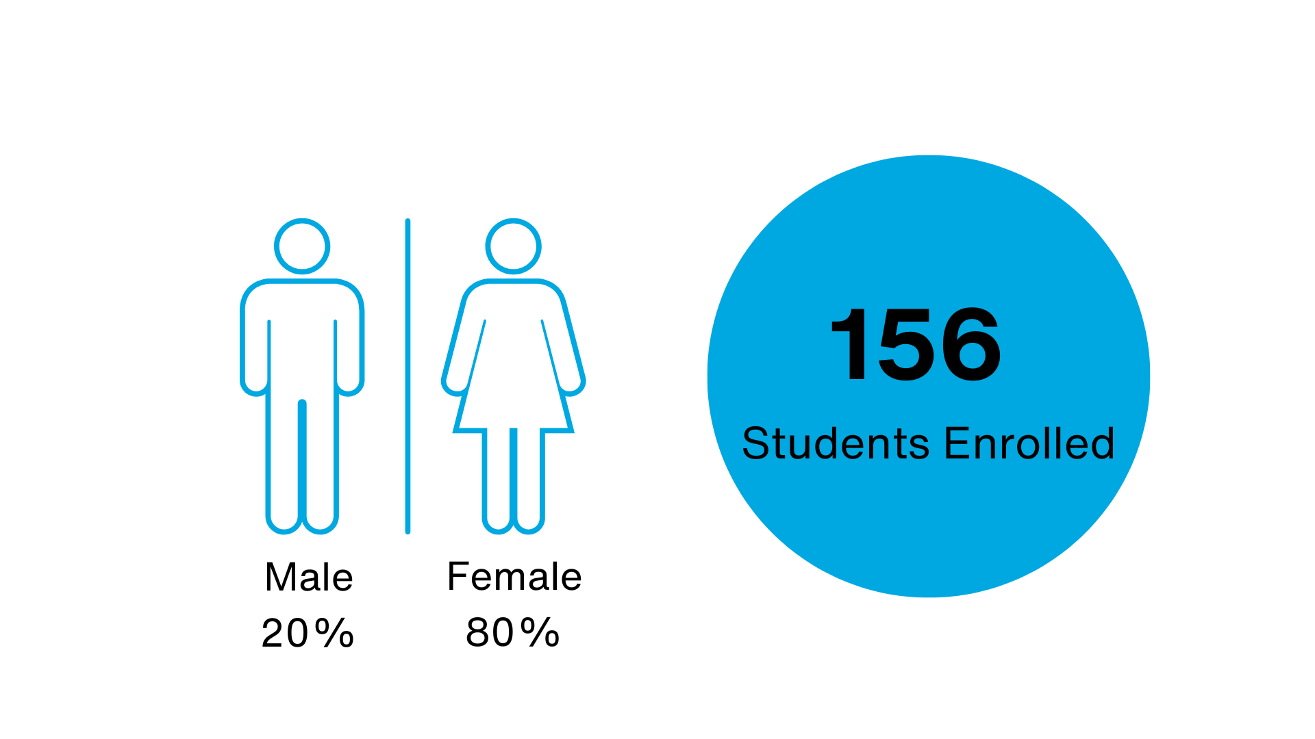 Demographic image showing 80 of students are women, 20% of students are men, and 156 enrolled students.